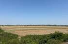 vand teren autostrada Bucurest Pitesti A1 30000 mp (3ha) cu deschidere la A1