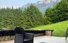 Vila la munte Brasov-Zarnesti, Piatra Craiului, Plaiul Foii, Gym, sauna, jacuzzi - 5