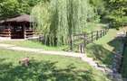 Pensiune agroturistică lângă București | Business funcțional | Iedera de Sus, DB - 12