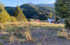 Teren Intravilan 1000mp-panorama-oportunitate investitie-Colibita - 2