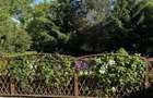 Vila 2005,S+P+E+M,living,dinning,3 dormitoare,3 bai,teren 2090mp,piscina,garaj - 12