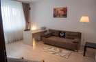 Kristal Residence | 2Camere | Decomandat | PetFriendly | Centrala | Parcare | AC - 1