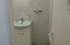 Spatiu Comercial 100 mp Triaj - 7