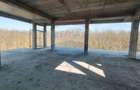 Apartament 4 camere CRANGUL PETRESTI. - 8