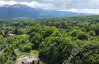 Teren Intravilan pe Valea Avrigului loc Avrig suprafata 7100 mp - 2