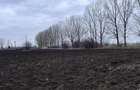 Teren 50000mp Extravilan-Intrare Halchiu-Cod 5235 - 4