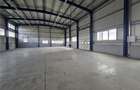 Spatiu Industrial - 600 mp - Depozitare - Distributie - 3