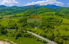 Teren 1ha Valea Glăjeriei - Rasnov | Comision 0% - 12