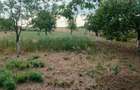 Vanzare Casa in localitatea Bodrogu Nou - 5