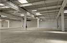 Spatiu Industrial - 9500 mp - Logistica - Productie - Depozitare - Distributie - 5