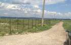 Teren 10600 mp DN13 Stupini - 1