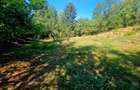 Teren intravilan 2322 mp, Păcuri – vedere superbă spre pădure! - 12