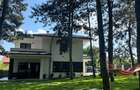 Casă Kaufland Galata – Pădurea cu Pini | Teren 720 mp | Complet mobilată - 14