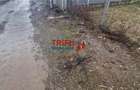 Teren Intravilan Construibil în Alba Iulia, Micesti - 5