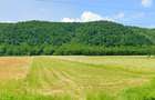 Vanzare teren intravilan 3000 mp, deschidere 28 m cu utilități Măgureni, Prahova - 1
