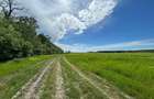 Teren pentru casă lângă pădure | 500 mp | Clinceni | Investiție excelentă - 1