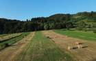 Teren 5886 mp In Bucovina - Bucsoaia! De Vanzare! 0727817187 - 8