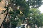 Apartament 3 camere complet renovat | Piața Victoriei - Guvern | Ultracentral | - 15