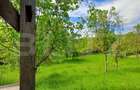 Casa 3 camere si teren 4873 mp  în Pietroasa, Moldovenești - 19