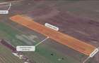 Oportunitate Investitie - Dragomiresti Vale - Zurbaua - A1 - A0 - sos Centura - 1
