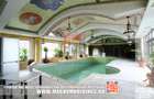 Vila de lux, piscina interioara, sauna, 770 mp, 3000 mp teren - 5