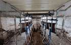 TEREN - GRAJD 6600MP, DEPOZIT, HALA ZONA BLAJ - 7