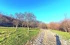 Teren 1.648 mp de vânzare – Cisnădioara, Sibiu - 5