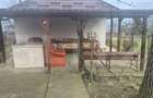 Casa cu 2 camere, 65 mp, teren 2910 mp, in Viile Satu Mare - 20