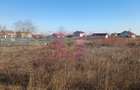 Săbăreni, teren intravilan construibil, cu utilităti in apropiere - 6
