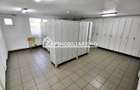 Spatiu de inchiriat Craiesti - 11