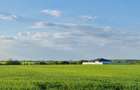 Teren Corbeanca, Balotesti, retras, cu pădure si lac in apropiere - 8