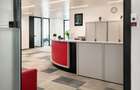 One Herastrau Office (Office 1) - 4