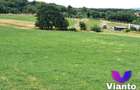 Oportunitate-Teren Extravilan 6200 mp cu vedere Panoramica-Tropinii Noi-Rasinari - 4