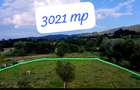 Investitie teren generos 3021 m limita intravilan, Via Transilvanica, Sinca Noua - 1