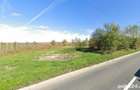 Teren intravilan 2000 mp in zona industriala Vest - 1
