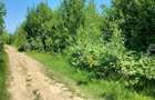 Teren intravilan 3900 mp Porumbacu de Sus, Sibiu - 16