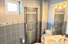 BAIA SPRIE - spre Cavnic Vila D+P+E 168mp + anexa cu teren 1526mp! - 17