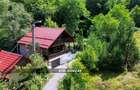 Sub padure, casa si teren de vanzare in Baia Mare - 33