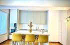 Herastrau Nordului Penthouse 160mp - 7