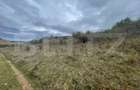 Teren Extravilan, 2800mp Perfect pentru Investitie - 4