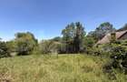 Teren intravilan 4.542 mp la principală, front 37 m, Leamna de Jos - 7