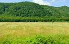 Vanzare teren intravilan 3000 mp, deschidere 28 m cu utilități Măgureni, Prahova - 7