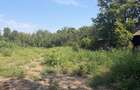 TEREN INTRAVILAN DE VÂNZARE – CĂLUGĂRENI, GIURGIU | 2.418 MP | DESCHIDERE 24 M - 8
