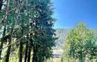 Teren Intravilan Predeal - Acces direct DN - Priveliste deosebita - 4