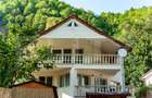 Casă de vacanță în inima naturii – Râmeț, Valea Mănăstirii - 7