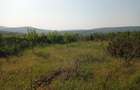 Intravilan - Tomesti - Teren si Cabana zona frumoasa