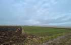 TEREN EXTRAVILAN 13 ARI | FRONT STRADAL 13 M | MARGINEA - 1