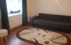 Cabana 4 camere zona Valea Avrigului - 12