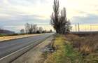 Snagov, CIolpani, Deschidere 61m DN1, Teren Intravilan 4906mp - 1