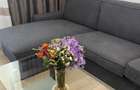 Pantelimon - Parcul Morarilor - 3 Camere - Disponibilitate Imediata - 3